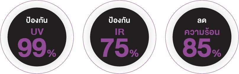 ip spec