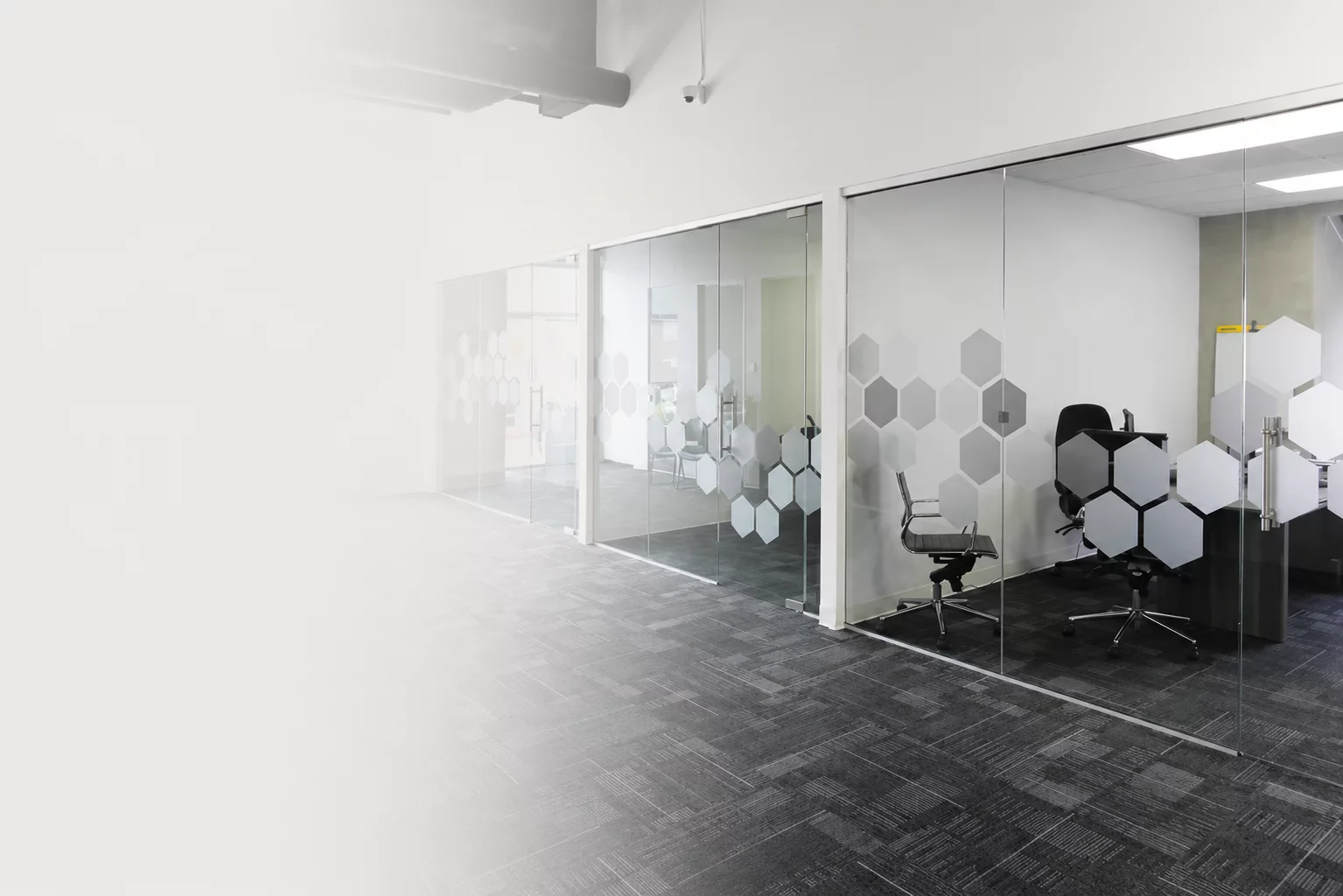 Decorative GROWTH film on interior glass, adding privacy and refined pattern without blocking the light