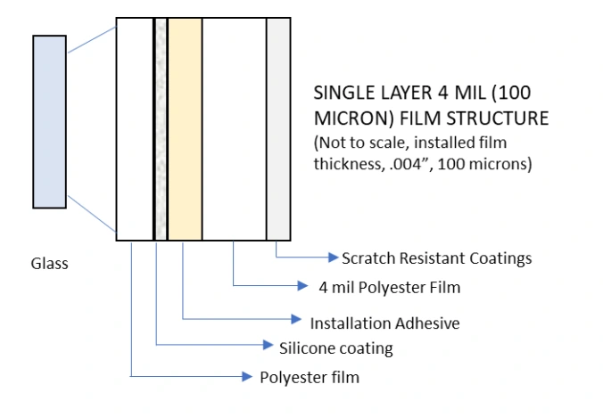Cross-section of a clear film